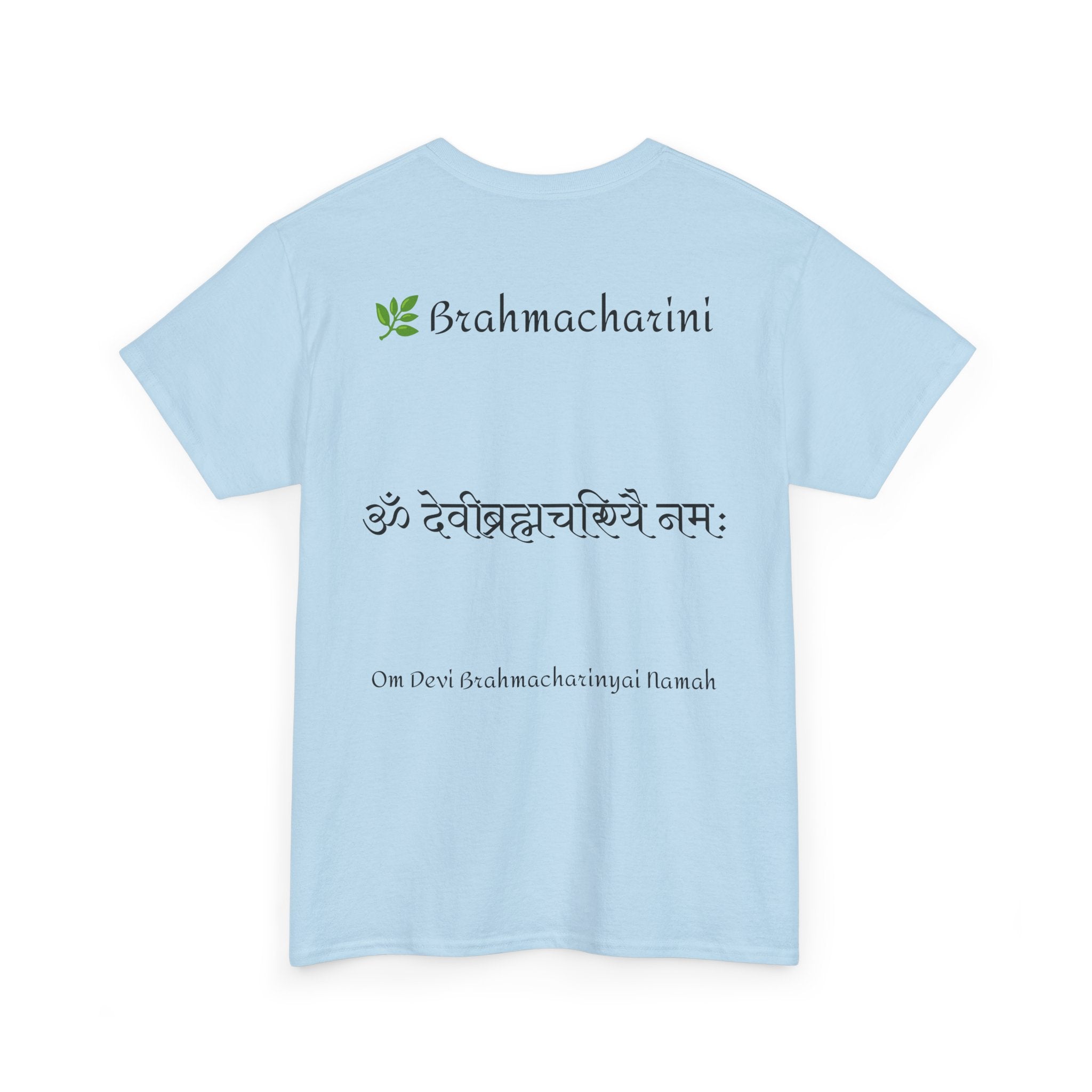 Navratri Night 2 Brahmacharini T-Shirt