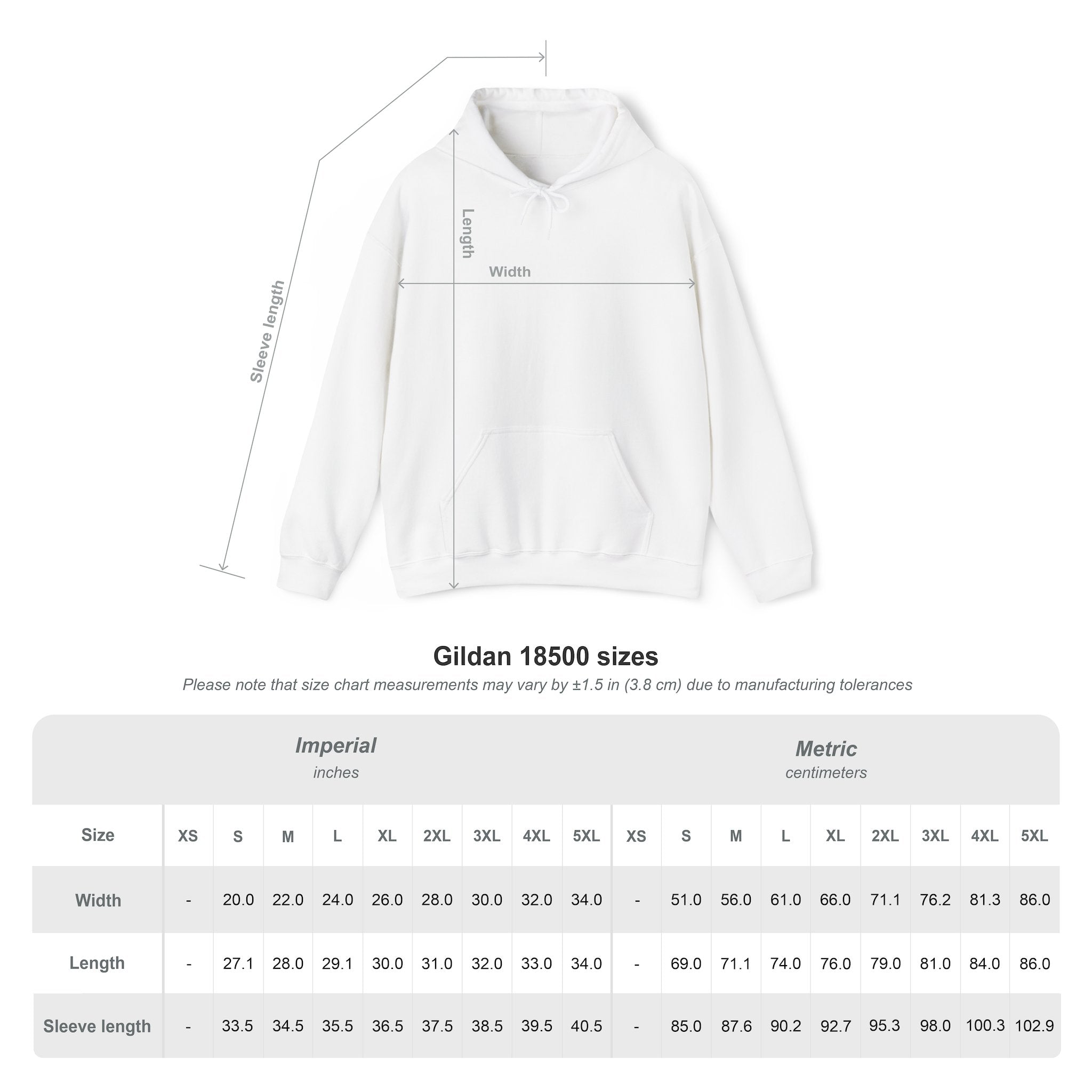 Lord Shiva Stillness Hoodie
